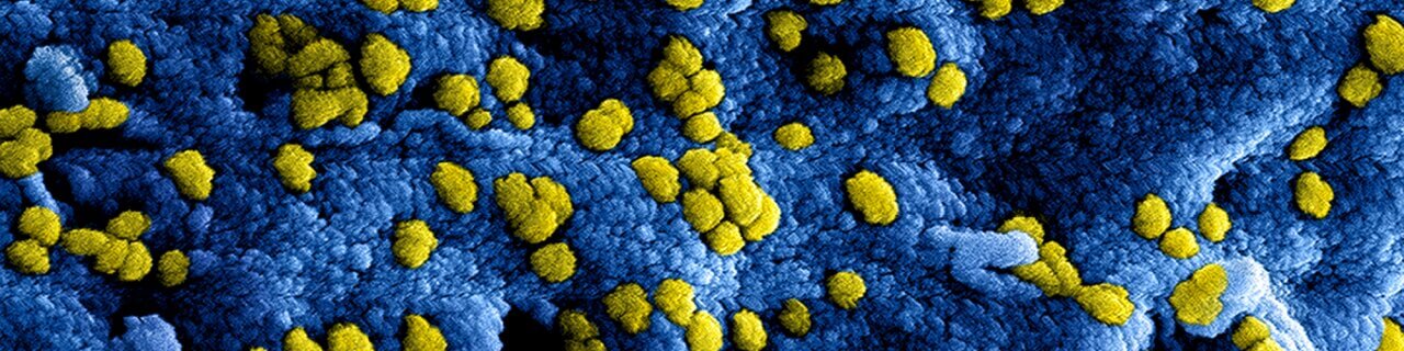 Corona virus afbeelding